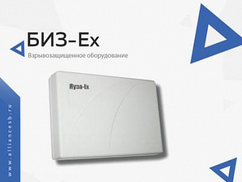 БИЗ-Ех БИЗ-Ех